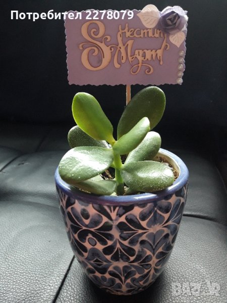 Цвете - дървото на живота, снимка 1