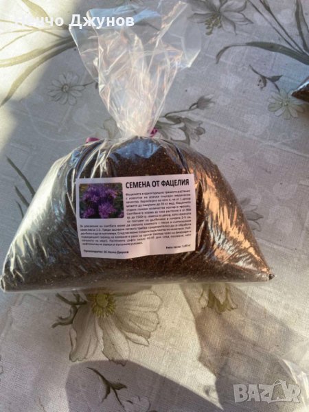 Фацелия - семе, снимка 1