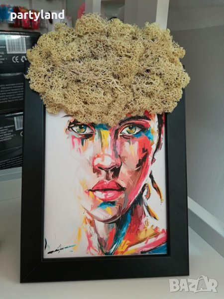 Картина декорирана с естествен скандинавски мъх, снимка 1