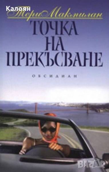 Тери Макмилан - Точка на прекъсване, снимка 1