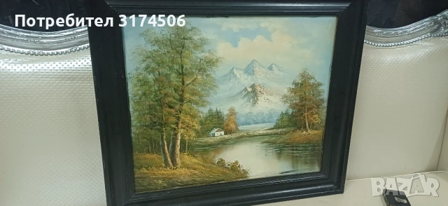 Картина рисувана на платно голяма автограф , снимка 1