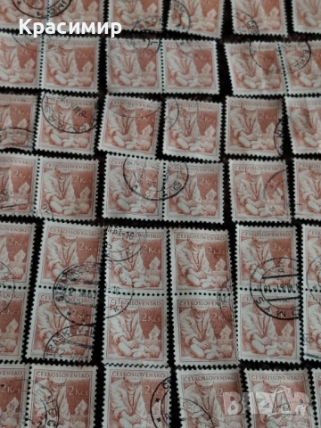 Czechoslovakia Medicin Doctor 1954 г. 225 бр. , снимка 13 - Филателия - 53174260