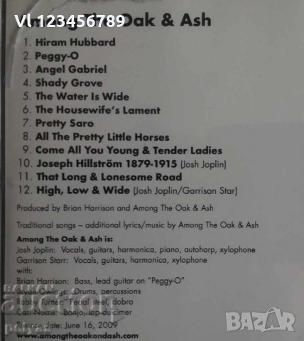 CD - Among the Oak & Ash - Shady Grove (ИРЛАНДСКА МУЗИКА), снимка 1 - CD дискове - 27701742