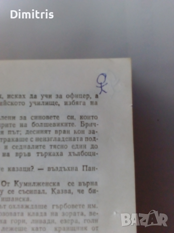 Тихият Дон Книги 1-2 3-4, снимка 11 - Художествена литература - 44750767