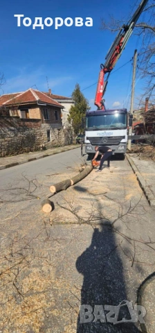 Рязане и премахване на дървета, снимка 4 - Други услуги - 53569888
