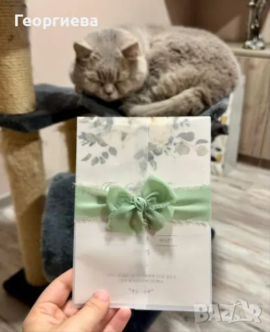 Покани за всеки ваш повод, снимка 5 - Покани - 50390299