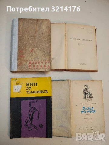 Вик от тъмнината - Йордан Гешев