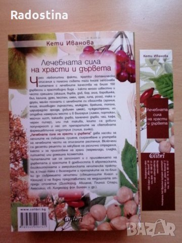 Лечебната сила на храсти и дървета Кети Иванова, снимка 6 - Специализирана литература - 28615851