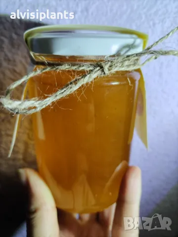 Домашен мед с шафран в буркачне от 314 мл, снимка 3 - Други - 48303630