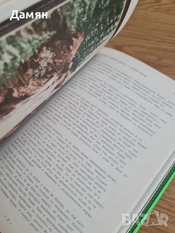 Тайната история на Туин Рийкс , снимка 3 - Художествена литература - 53323350