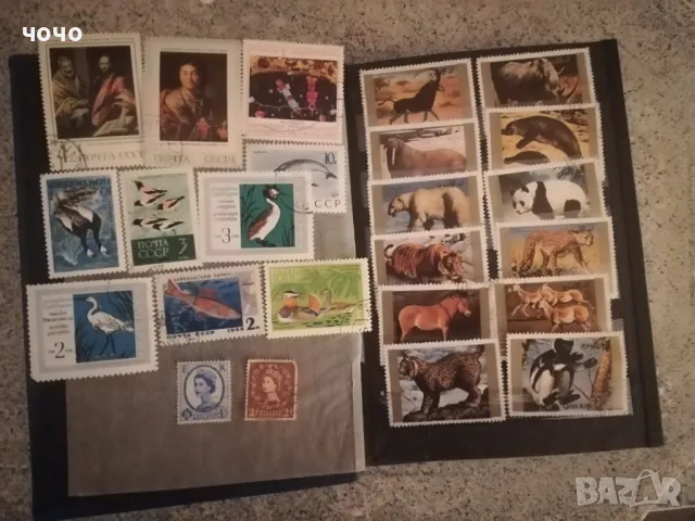 Класьор с марки, снимка 3 - Филателия - 47740852