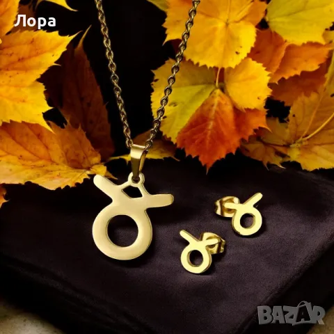 Комплект от неръждаема стомана със зодията - обеци и колие в златисто, снимка 12 - Бижутерийни комплекти - 48114485