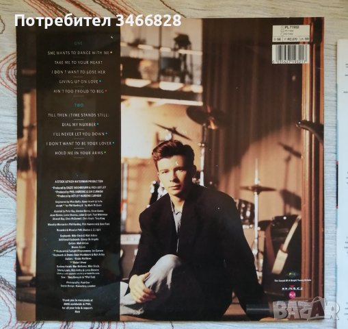 Rick Astley - Hold Me In Your Arms, снимка 5 - Грамофонни плочи - 44068615