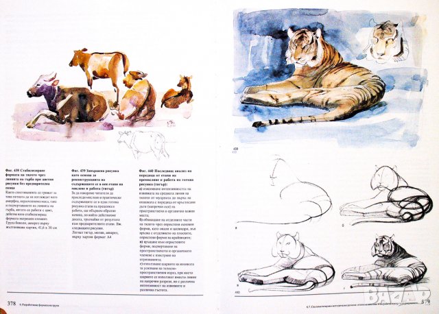 Животинското тяло Учебник по пластична анатомия Годфрид Бамес download pdf, снимка 5 - Енциклопедии, справочници - 28299610