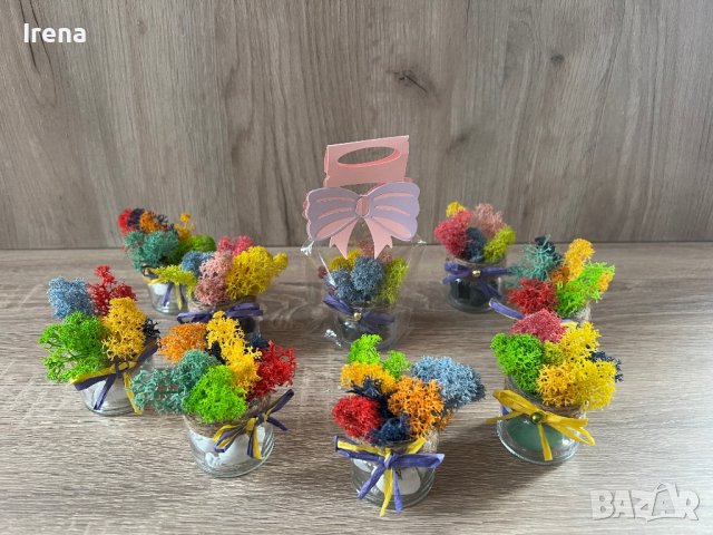 Кашпи със скандинавски мъх 8,50, снимка 14 - Декорация за дома - 42840962