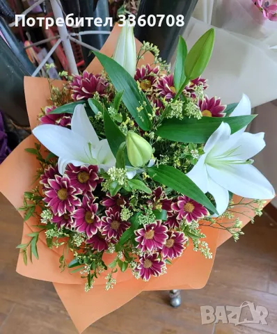 Доставка на цветя в София – florans.eu 🌸🚚, снимка 2 - Стайни растения - 49546698