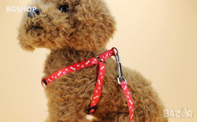 Нагръдник и повод за куче или котка 2 в 1 - Червен