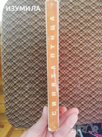 Синята птица - Ана Юрген, снимка 4 - Художествена литература - 48820281