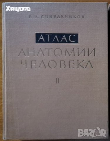 Атлас по анатомия на човека / Атлас анатомии человека.Том 2,Р.Д.Синельников,1966г;472стр, снимка 1 - Енциклопедии, справочници - 27659681