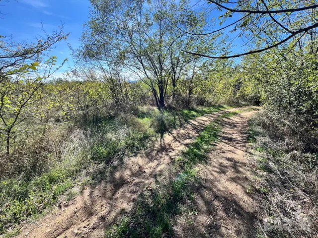 Парцел 565 кв по пътя Енина - Долно Изворово след Розовите Къщи. Земеделска Земя за Градина и Ферма, снимка 5 - Земеделска земя - 47635498