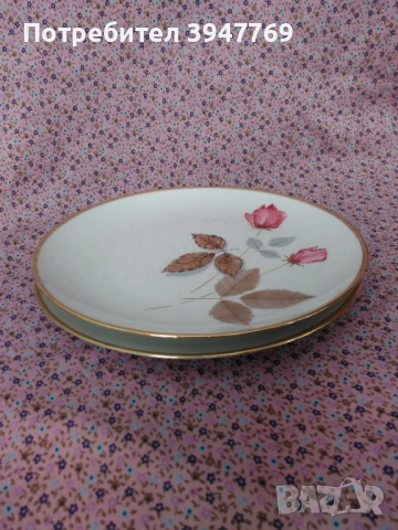 чинии Winterling, снимка 2 - Чинии - 47021819