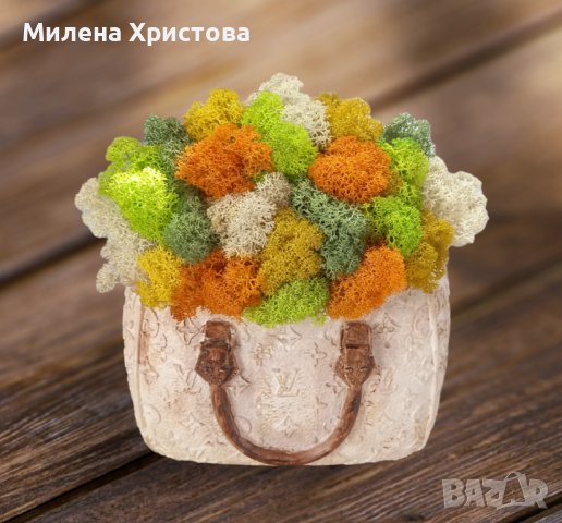 Кашпа със скандинавски мъх 