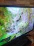 Smart Hitachi 32" wi fi.Топ състояние!, снимка 4