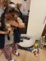 Йоркширски териер мини йорки., снимка 5