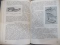Книга "Забавна ихтиология - Петър Владев" - 168 стр., снимка 4