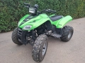 ATV Pioneer Japan 250, снимка 2