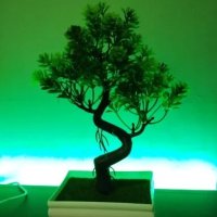 Декоративен изкуствен бонсай в саксия, Зелен, снимка 7 - Стайни растения - 43336759