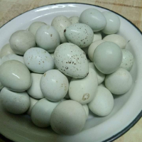 Оплодени пъдпъдъчи яйца селадона 0,30, снимка 1 - За птици - 35325244
