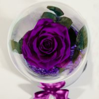 Лилава Вечна Роза в Стъкленица / Оригинален Подарък за Жена / Лилава Естествена Вечна Роза, снимка 1 - Ръчно изработени сувенири - 37067134