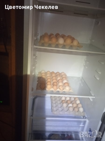 Домашни кокоши яйца, снимка 1