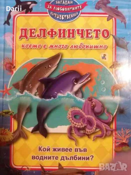 Делфинчето, което е много любопитно, снимка 1
