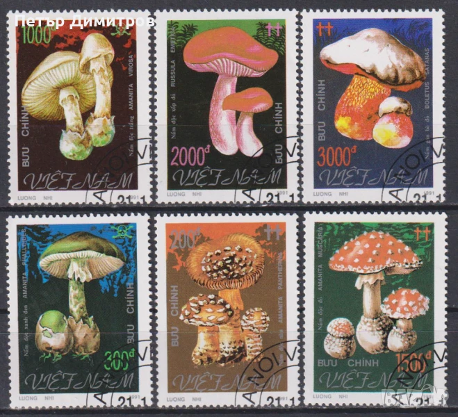 Клеймовани марки Флора Гъби 1991 от Виетнам, снимка 1