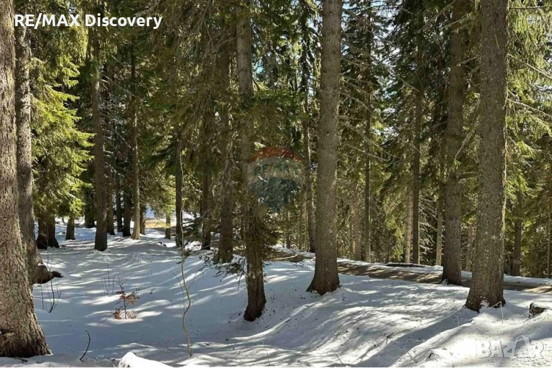 Урегулиран поземлен имот - За продажба - к.к. Пампорово, Област Смолян, снимка 1