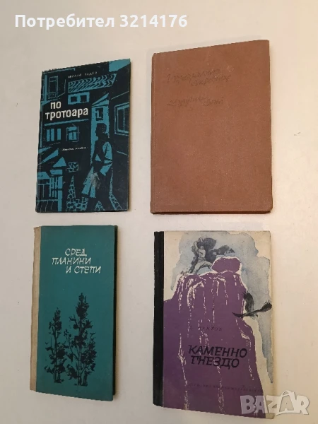 Изчезналото съкровище. Другият свят - Григорий Гребнев, снимка 1