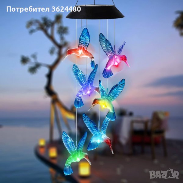 Соларни камбанки колибри, снимка 1