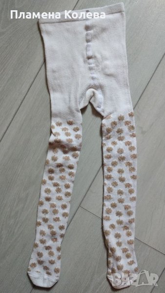 Чорапогащник, снимка 1