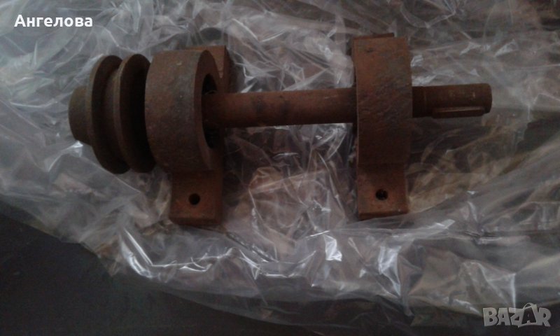 Ос, снимка 1