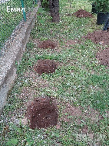 Копам дупки за огради и дръвчета , снимка 1