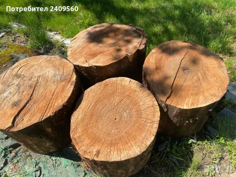 Орех, орехови трупи, дървен материал, снимка 1