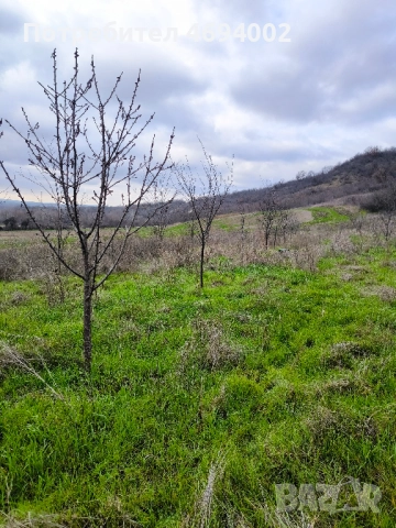 Здрава Хижа с 3.7 дка земя до с. Драганово – Идеална за пчелин, ферма!, снимка 3 - Вили - 52916087