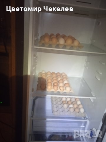 Домашни кокоши яйца