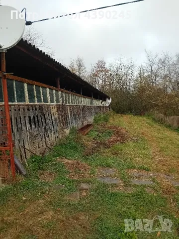 животновъден обект , снимка 4 - Други - 49296149