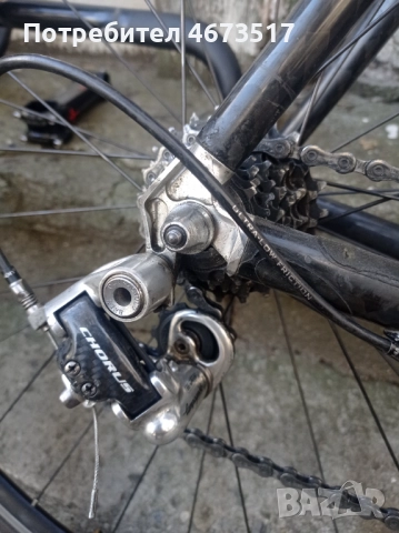 Шосеен карбонов велосипед Scott cr1 team carbon campagnollo record 10s 