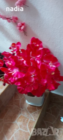 Изкуствени дръвчета ,различни видове, снимка 3 - Изкуствени цветя - 50632876