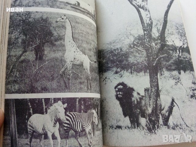 Сред Животните на Африка - Б.Гжимек - 1982г., снимка 3 - Други - 37815688