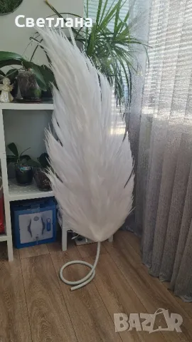 Големи пера за декорация , снимка 3 - Декорация за дома - 48748655